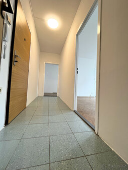 Pronájem bytu, 46 m2, gen.Svobody, Moravský Beroun - 8