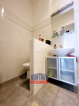 Pronájem zrekonstruovaného bytu 2+1 72 m2, České Budějovice - 8