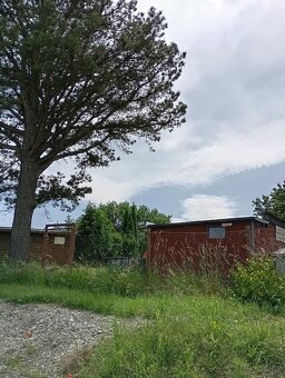 Zahrada po povodních(Krnov) - 8