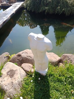 Torzo mužského těla 50 cm - 8
