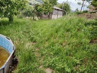 Nabízíme sekání křovinořezy a řezání motorovou pilou - 8