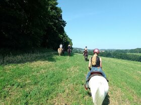 Koňský tábor , tábor s konmi, koně, jezdecký pobyt - 8