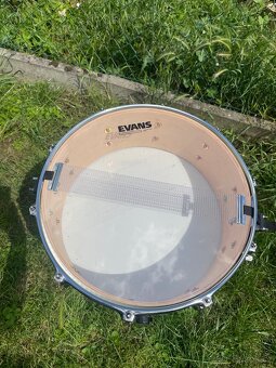 Sonor Force 3005 Full Maple 14x5,5 - 8