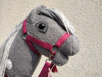 Hobby horse NOVÝ se stříbrnou hřívou - 8