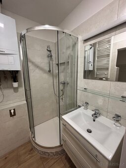 Byt U prvni baterie, 2kk, 50m2, s vychodem na zahradu - 8