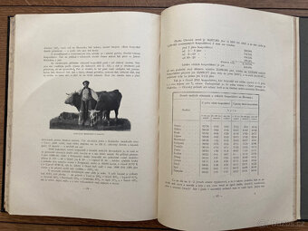 Slovensko 1901 (Prémie Umělecké besedy na rok 1901) - 8