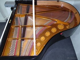 Koupím klavír zn. Bösendorfer - 8