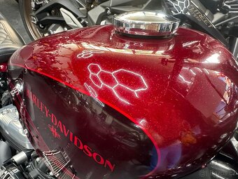 Harley Davidson XL1200X Forty-Eight - 8