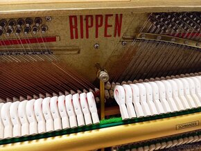 Rippen mod 109-Dovoz po ČR zdarma 24/7 - 8