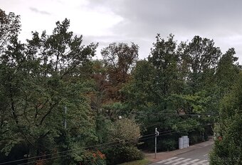 Pronájem bytu 2+1 53m² s balkonem v Brně-ulice Pionýrská - 8