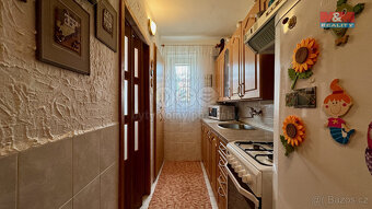 Prodej bytu 3+kk, 56 m², Dubňany, ul. Hornická - 8