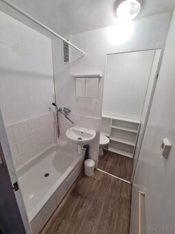 Milevsko 1+1+balkon+sklep-pronájem bytu - 8