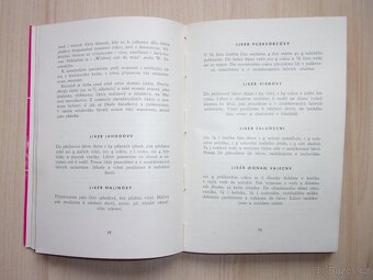 2x STARÁ KUCHAŘKA - KUCHAŘSKÝ LEXIKON, STAROČESKÁ KUCHYNĚ - 8