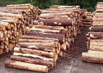 Palivové dřevo měkké - 8