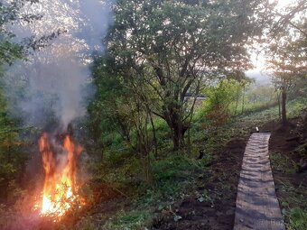 Pronájem zahrady k rekreaci u Zábřehu 500 Kč / měsíc - 8