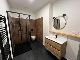 Pronájem bytu 2+1, Plzeň-Bory - 8