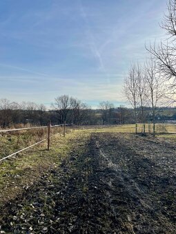 Paddock Paradise - 8