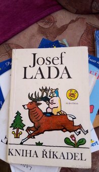 Dětská literatura - 8