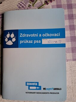 Prodám štěně - 8