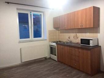Pronajmu byt 1+1 50m2 v Ostravě se zahradou - 8
