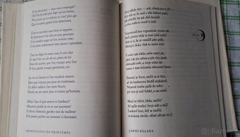 Kniha Záludná luna - P. Verlaine - 8