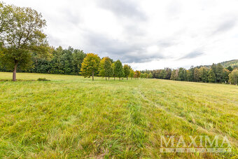 Pozemek o ploše 19235 m2 - Lázně Libverda, Lázně Libverda - 8