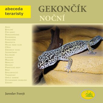 gekončík noční - 8