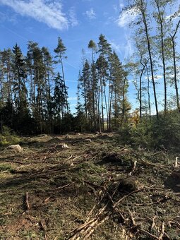 Prodej lesního pozemku v k.ú.Domašín okr.Vlašim - 8
