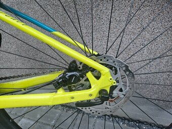 Rock Machine 29" - 8