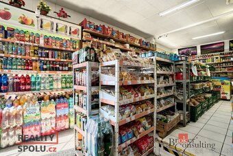 Prodej, domy/rodinný, 290 m2, Jáchymovská 151, 36235 Abertam - 8