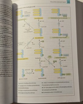 Učebnice BAREVNÝ ATLAS BIOCHEMIE - Jan Koolman NOVÁ - 8
