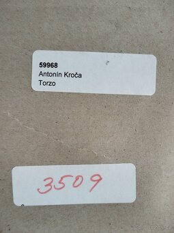 obraz TORZO DÁMA, akt, pastel, Antonín Kroča 2008 - 8