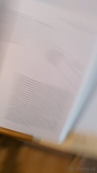 Ansel Adams The Negative - 8