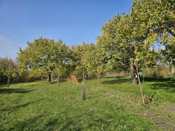 Dlouhodobý pronájem zahrady s chatkou o výměře 1.023 m2, ... - 8
