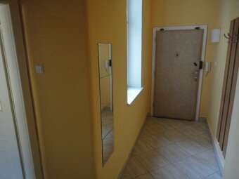 Pronájem 1+1, ulice Dornych, centrum (u Vaňkovky), 42 m2, ko - 8