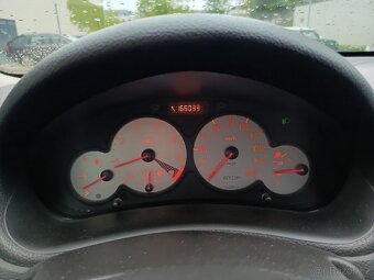 Peugeot 206 SW - 8