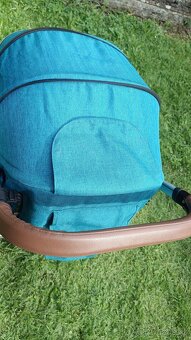 Oyster zero Peacock - 8