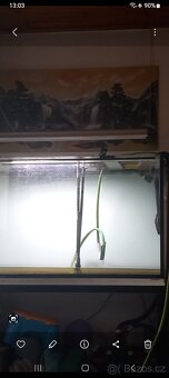 Akvarium - 8