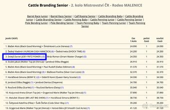 Cremello klisnička s odznaky s reining/cutting původem - 8
