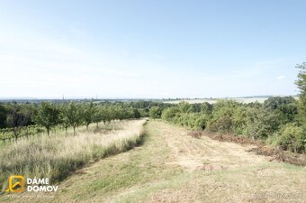 Prodej pozemku se zahradním domkem 3 731 m2 - Staré Město - 8