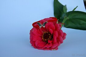 Náramky s přívěskem - 8