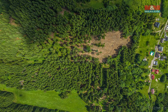 Prodej lesa, 6696 m², Tanvald - 8