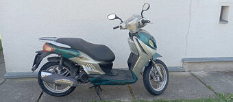 Shenke Jonway Explorer 125 - 8