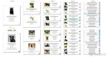 Beauceron štěńátka s PP ze zahraničního spojení - 8