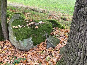 přírodní kameny, částečně porostlé mechem - 8