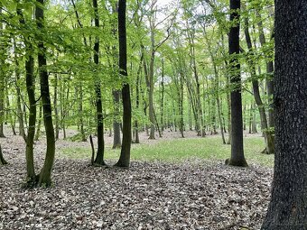 Prodej, pozemek, 950 m, , Brno - Medlánky, Česko - 8