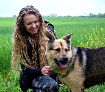 HAKIM K ADOPCI - 3 ROKY, KRÁSNÝ,PŘÁTELSKÝ,HRAVÝ - 8