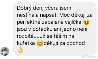 Násadová vejce na barevný dvorkový mix - 8