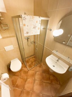 Pronájem 2+kk, přízemí, terasa, vybavený, parkovací místo - 8