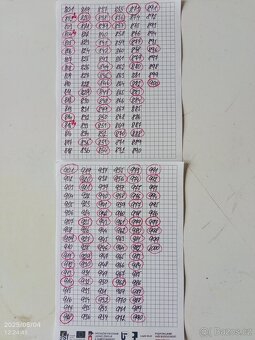 Dřevěné turistické známky - 8